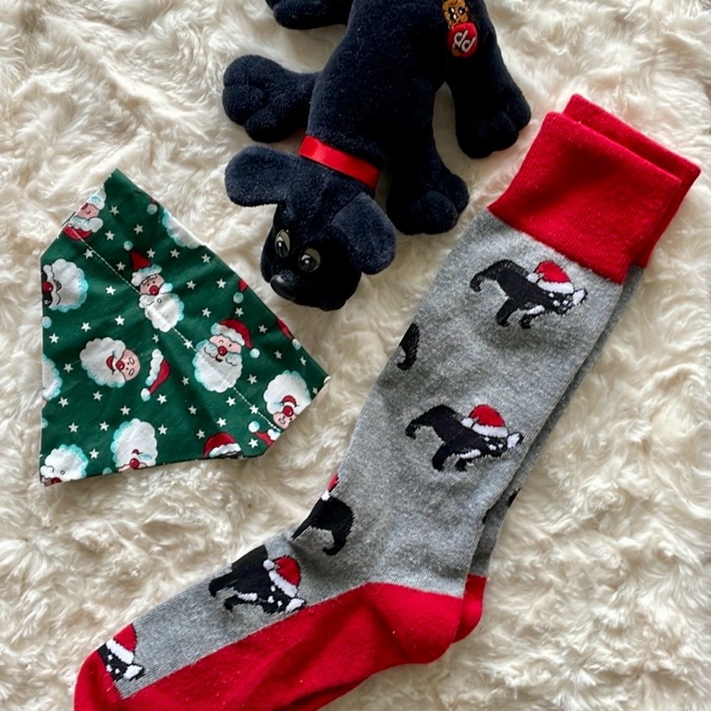 Pound Puppy🐾Frenchie Socks🐾Santa Collar Bandanna